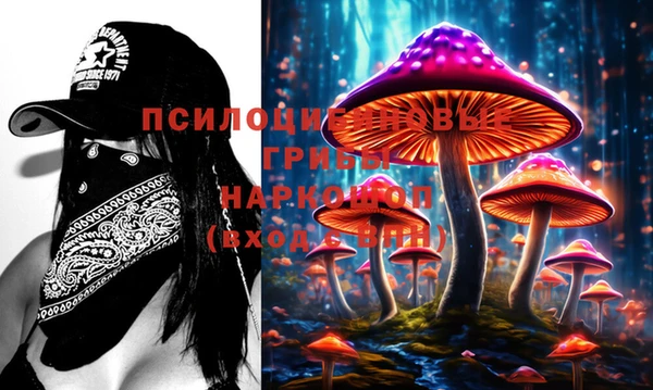 apvp Алексеевка