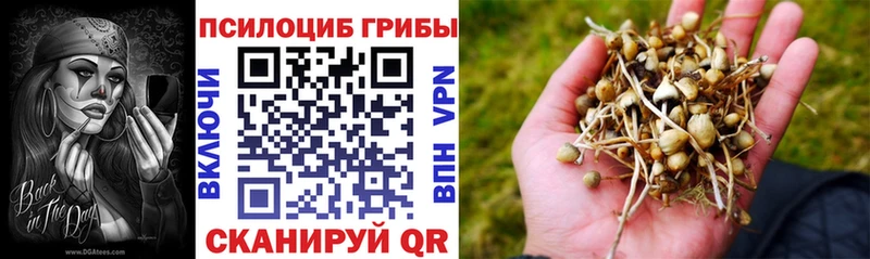 Галлюциногенные грибы мухоморы  Лукоянов 